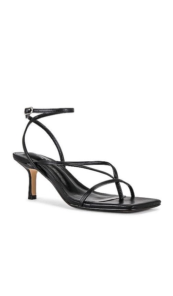 Avi Sandal