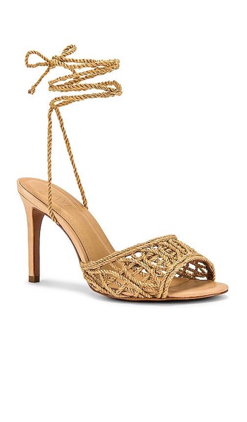 Paulo Heel