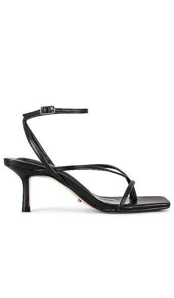 Avi Sandal