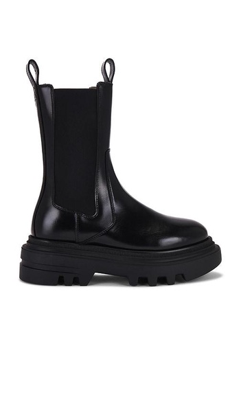 Alex Boot