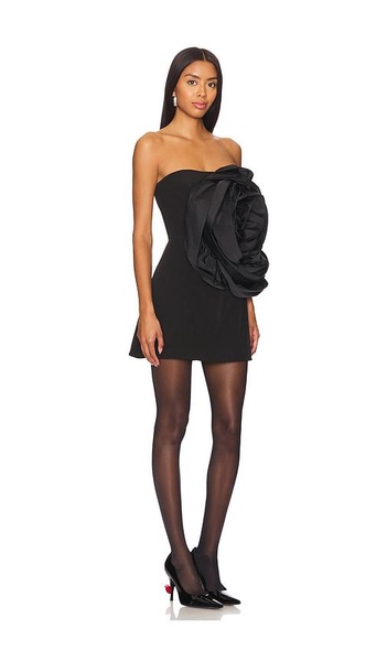 Legacy Rosette Mini Dress