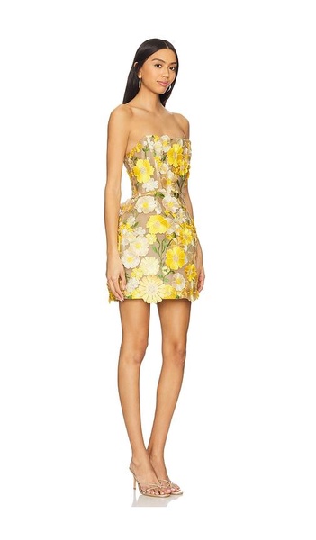 Jasmine Maraya Mini Dress