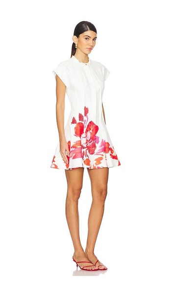 Chapelhill Mini Dress