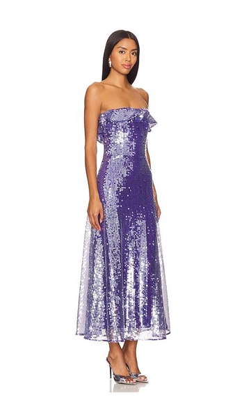 Braelynn Mesh Sequin Midi Dress