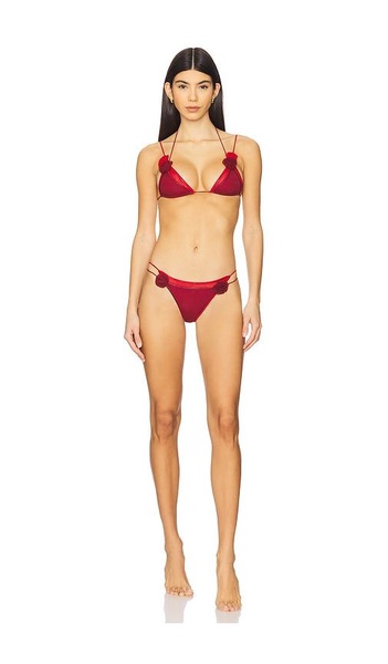 Rose Two Piece Bikini Set