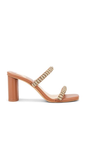 Nolah Mule