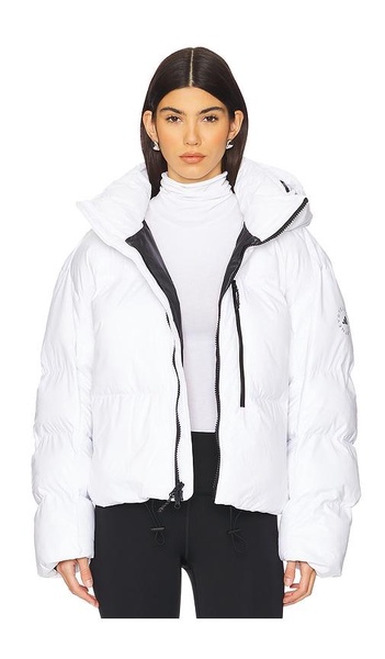 Short Puffer