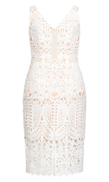 Plus Size All Class Dress