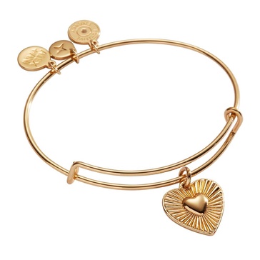 Alex and Ani Heartburst Charm Bangle