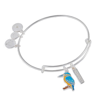 Alex and Ani Prosperity Kingfisher Duo Charm EWB