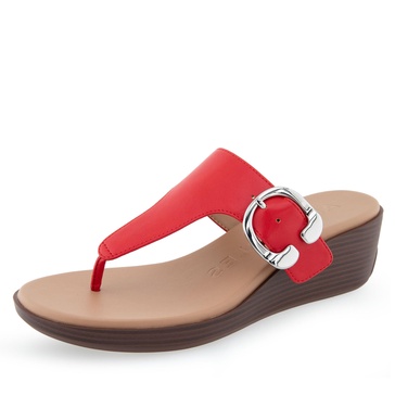 Aerosoles Women's Izola Wedge Sandal