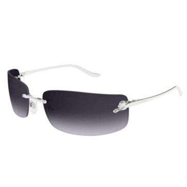 Ct0503s-002 Silver-silver-grey