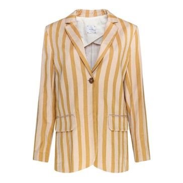 Striped Blazer Multicolore