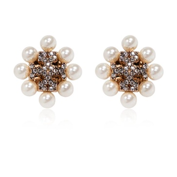 Shimmering Earrings
