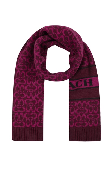 Coach womens Signature C Logo Knit Scarf