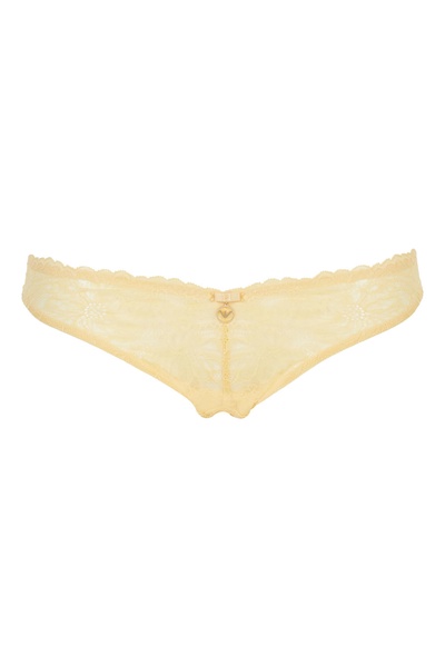 Emporio Armani Women's Eternal Lace V-Brazilian Brief