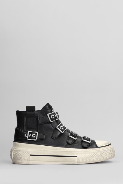Ash Rainbow Sneakers