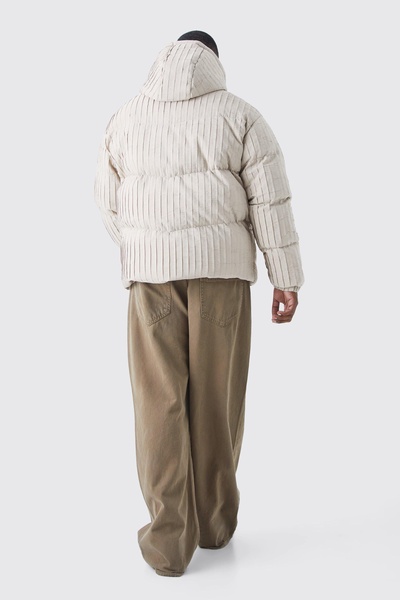 Plus Pleated Puffer With Hood