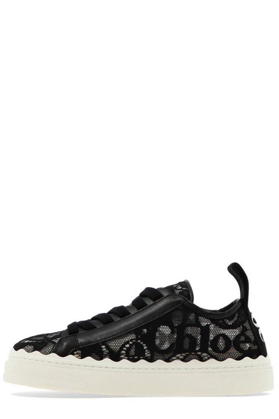 chloe lauren lace & leather sneaker