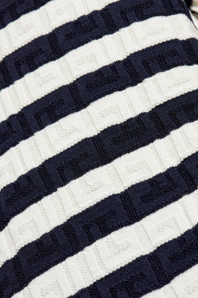 Striped Knit Polo Shirt