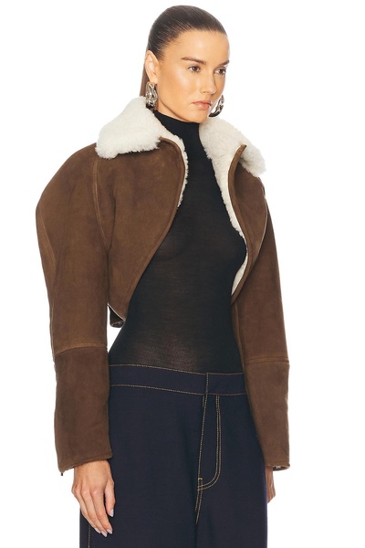 Cardi Jacket