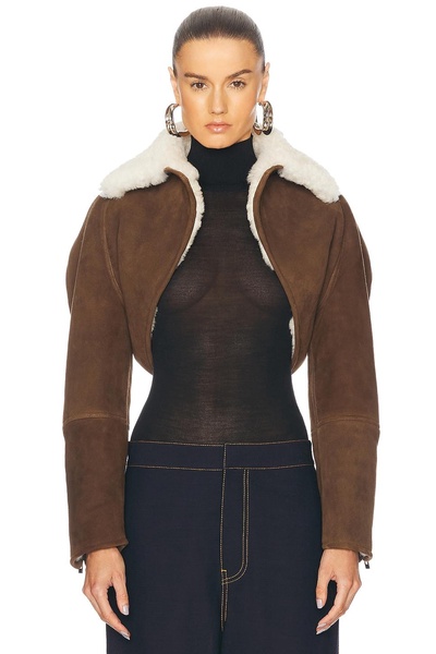 Cardi Jacket