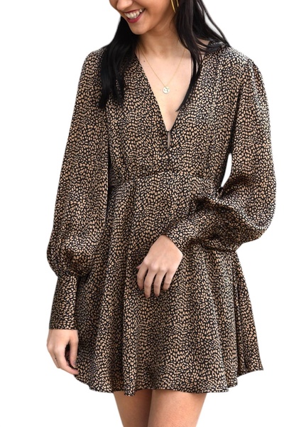 parker skater dress in husky
