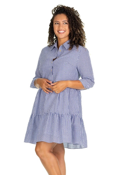 the murphy dress in navy gingham