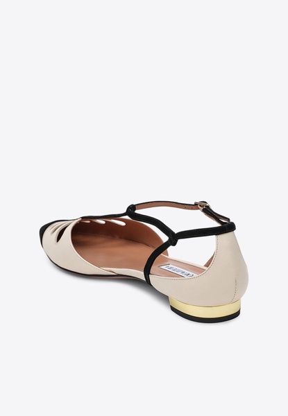 Camille Pointed-Toe Flats