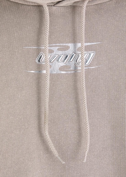 Logo hooded cotton sweatshirt
