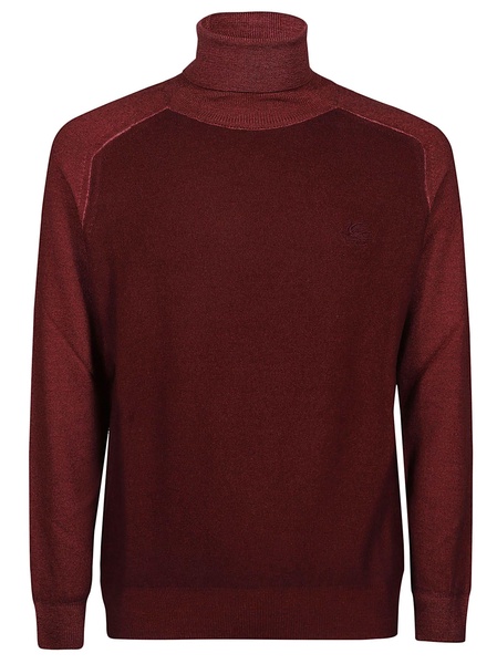 Raglan Sleeves Turtle Neck Sweater