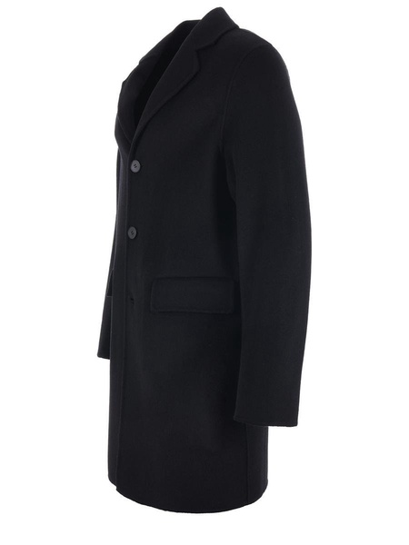 Amaránto  Coats