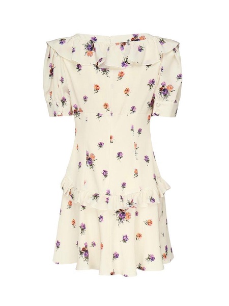 Rose Printed Mini Dress
