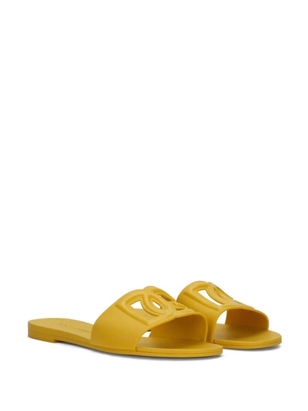 DG rubber slides