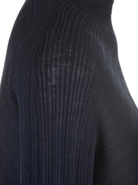 Ribbed Turtleneck
