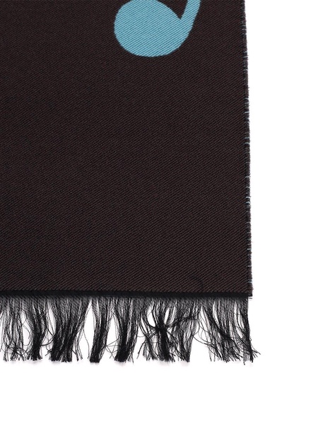 Wool And Silk Scarf