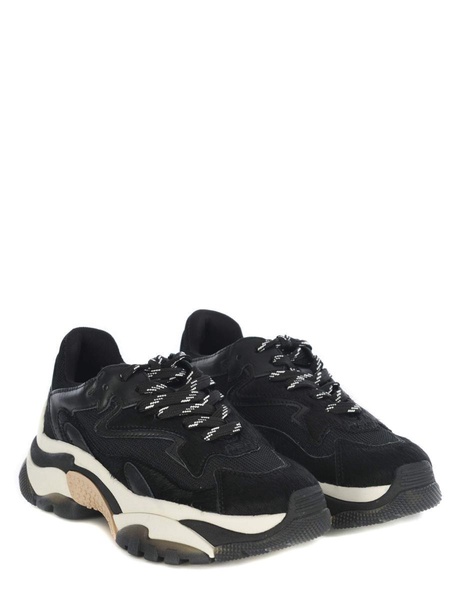 Sneakers Ash "addict05" Made Of Leathert