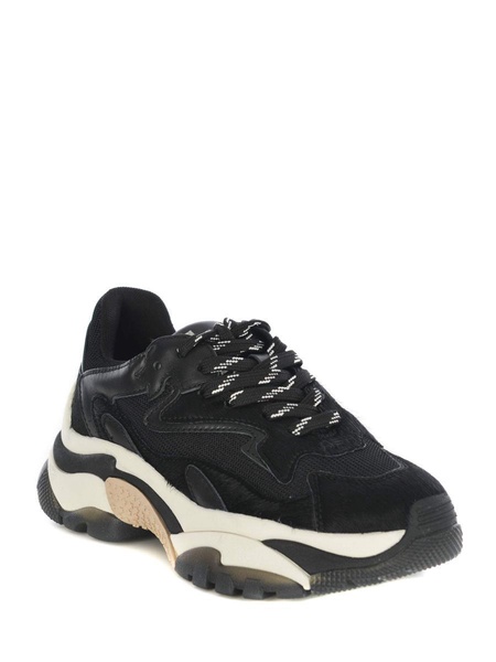 Sneakers Ash "addict05" Made Of Leathert