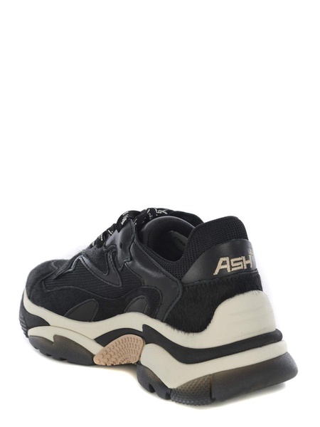 Sneakers Ash "addict05" Made Of Leathert