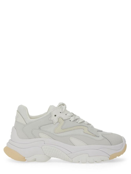 LEATHER ADDICT SNEAKER