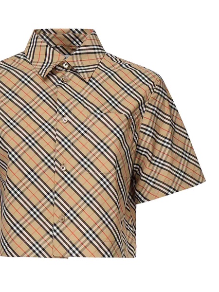 Crop Shirt