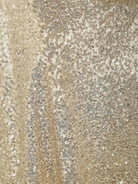 Cecil Top With Paillettes