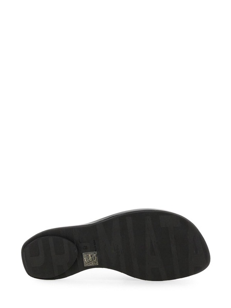 sandalss