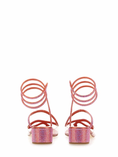 Sandal Snake