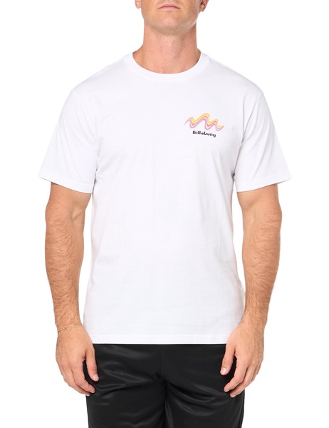 Billabong Men's Segment Short Sleeve Graphic Tee
