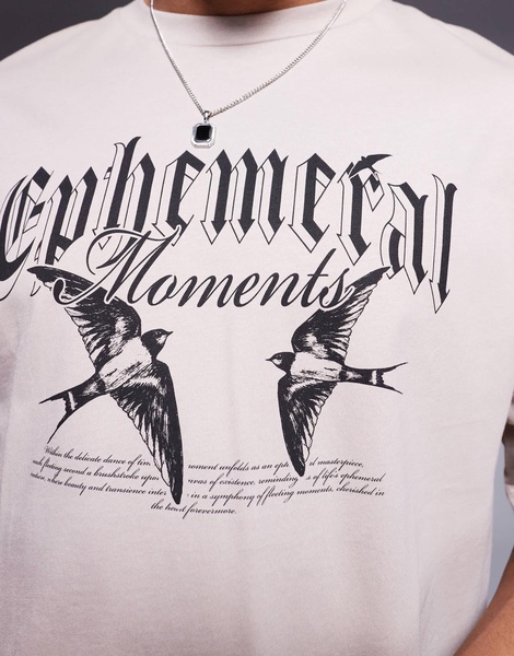ADPT oversized T-shirt with birds chest print in cream