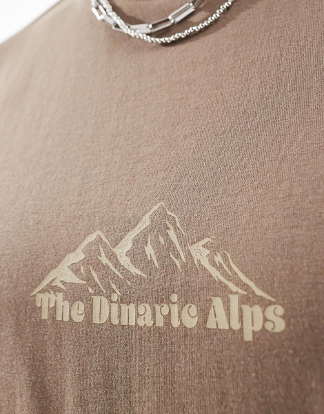 Another Influence mountain range slogan boxy t-shirt in washed tan