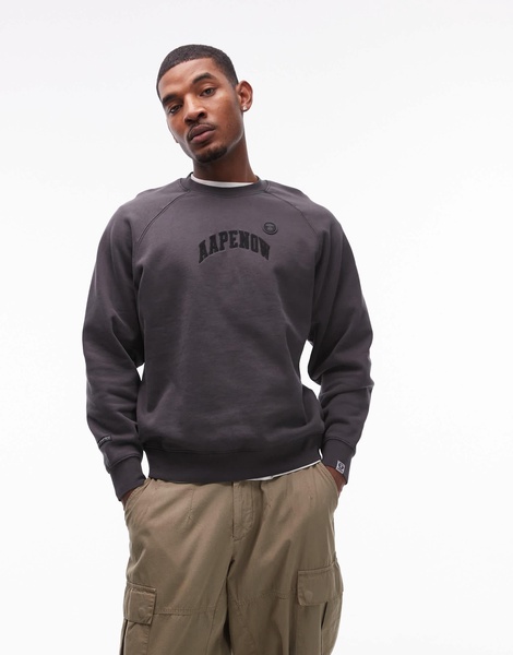 Aape By A Bathing Ape logo sweatshirt in washed gray