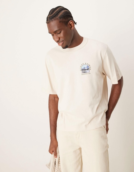 Abercrombie & Fitch National Parks Mount Rainer back print crop T-shirt in moonbeam