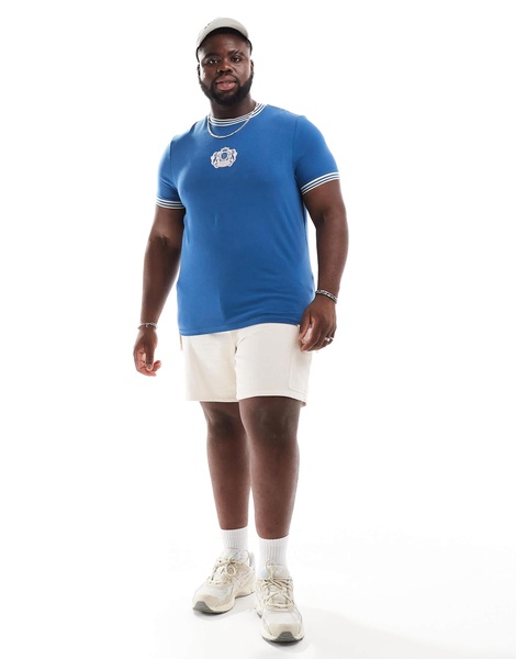 ASOS DESIGN cropped muscle ringer t-shirt with chest print in blue